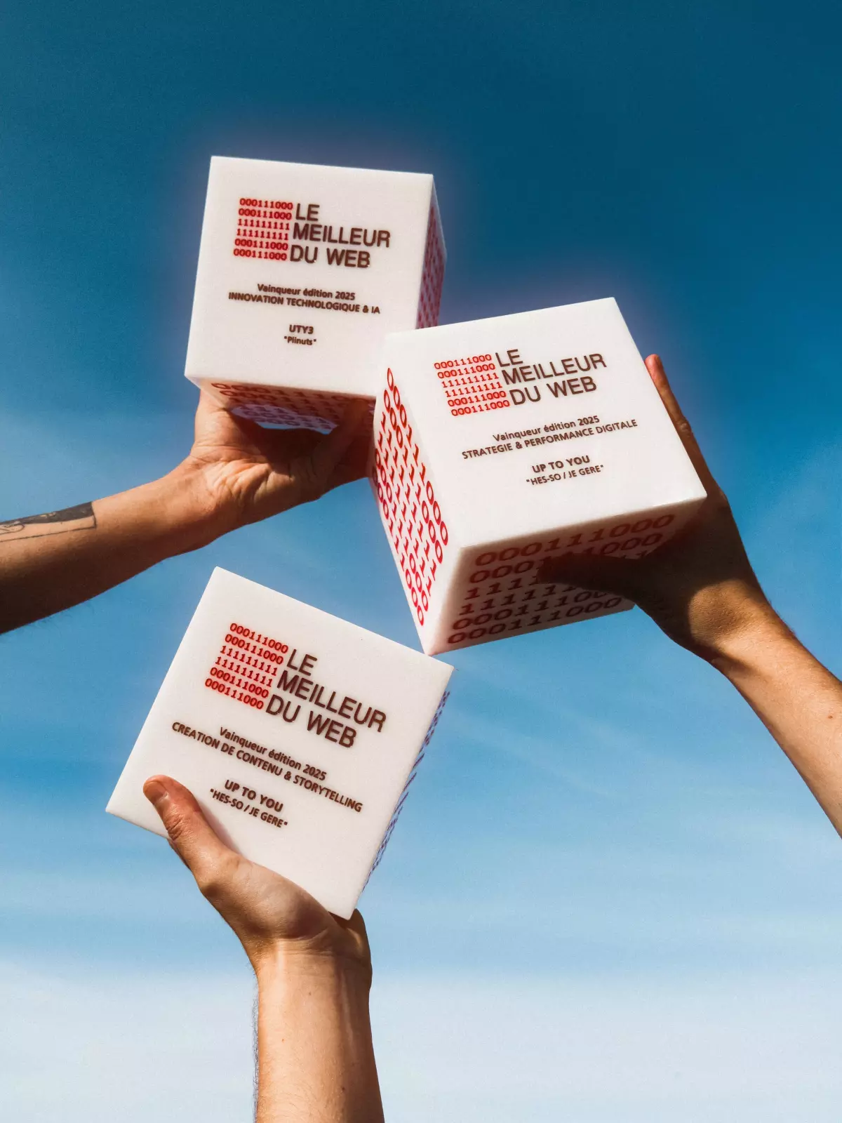UTY3 remporte un cube au Meilleur du Web